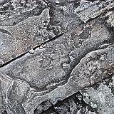 Natural Abstract_DSCF02053